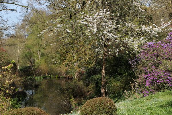 Ramster Gardens (4)